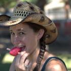 Translator profile picture
