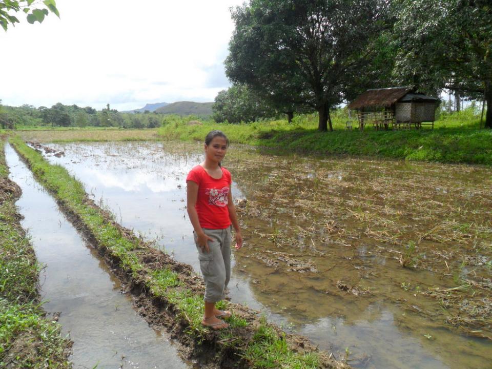Borrower image