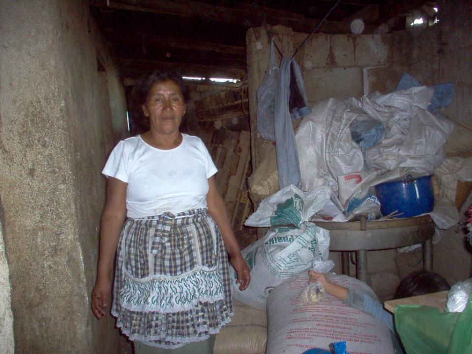 Borrower image