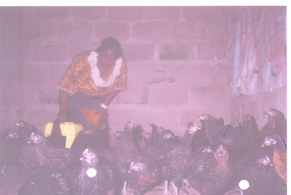 Borrower image