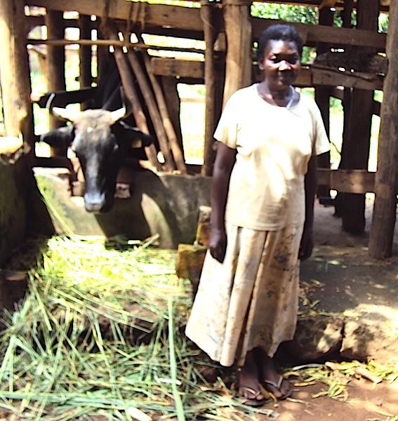 Borrower image