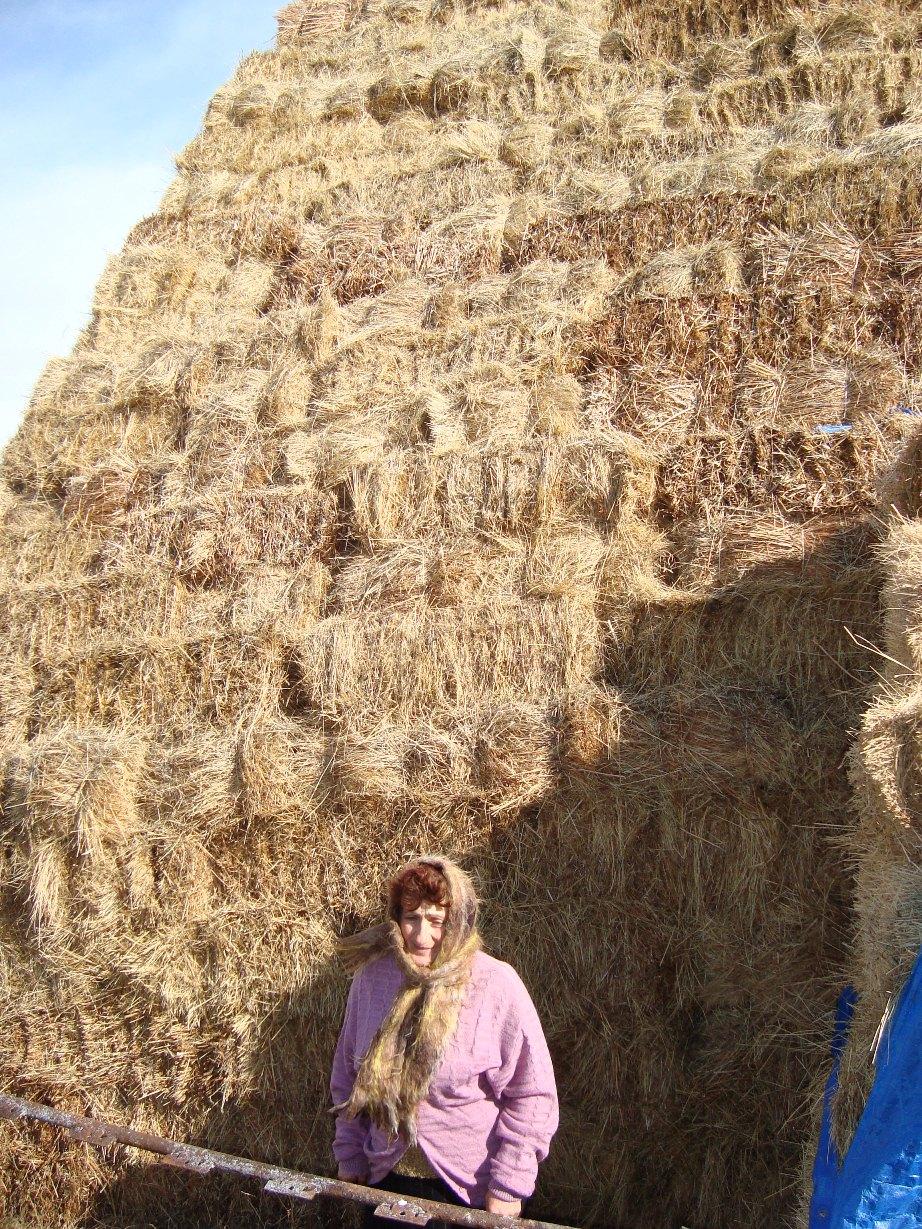 Borrower image