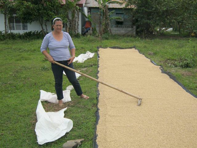 Borrower image