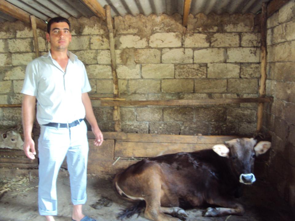 Borrower image