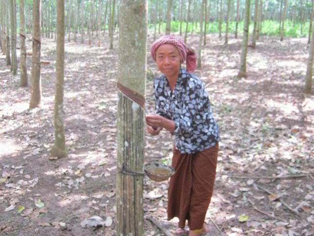 Borrower image