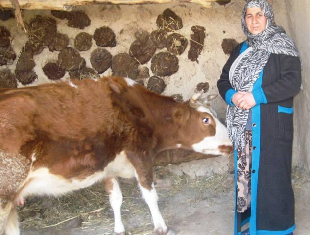 Borrower image