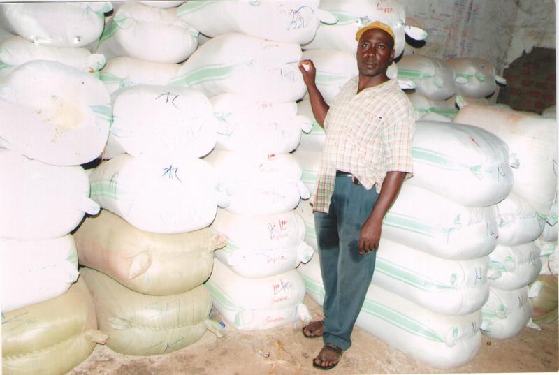 Borrower image