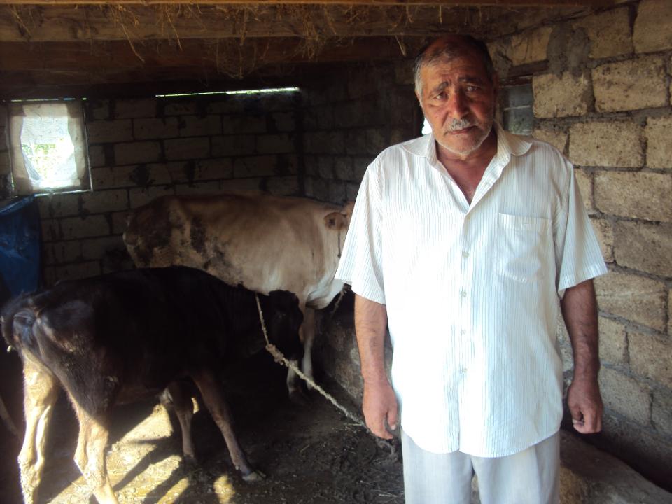 Borrower image