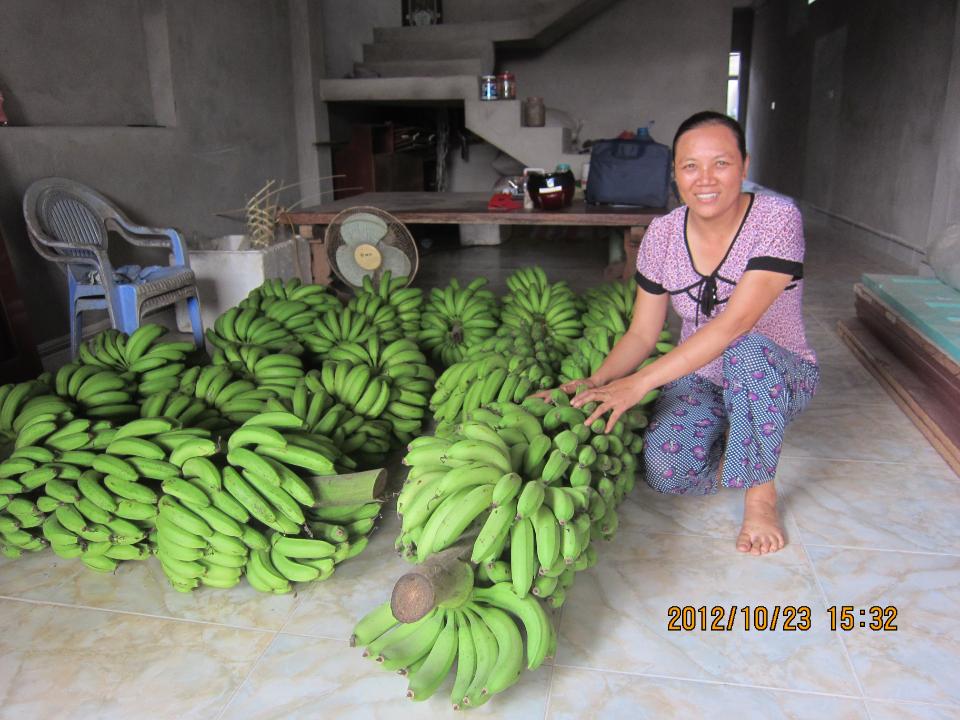 Borrower image
