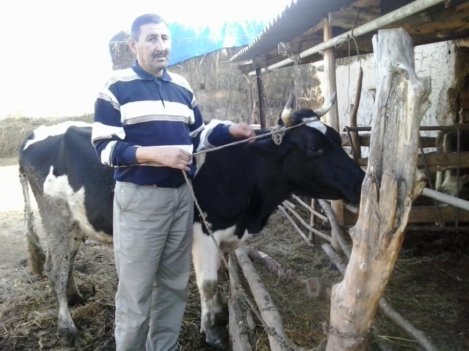Borrower image