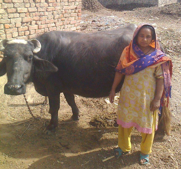 Borrower image