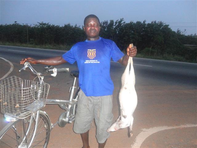Borrower image