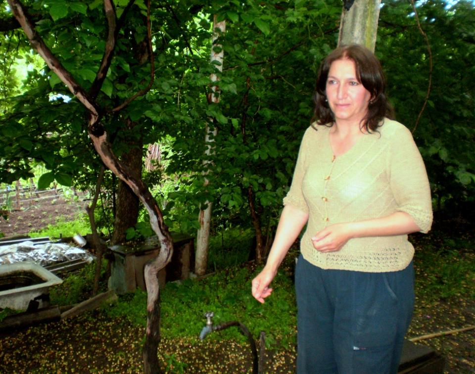 Borrower image
