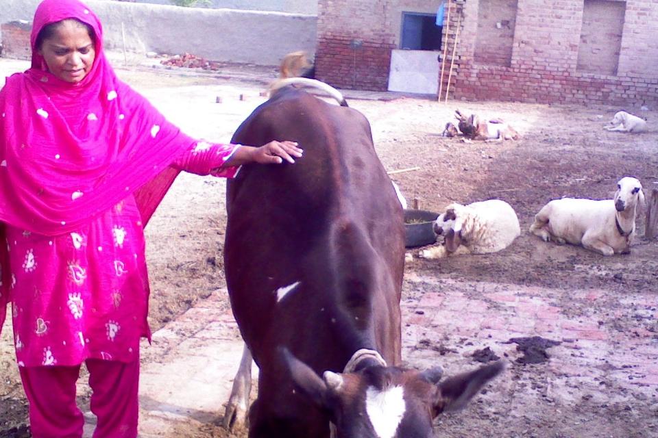 Borrower image