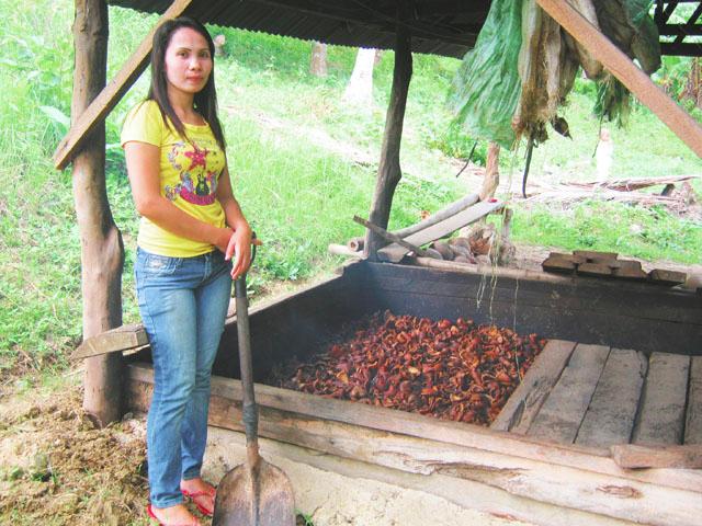 Borrower image