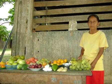 Borrower image