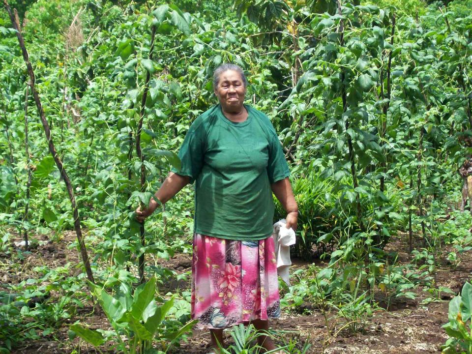 Borrower image