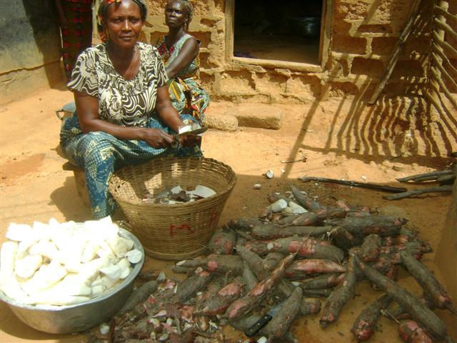Borrower image