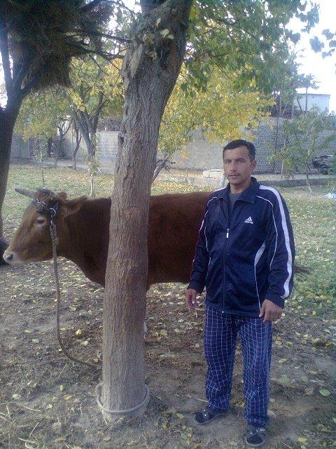 Borrower image