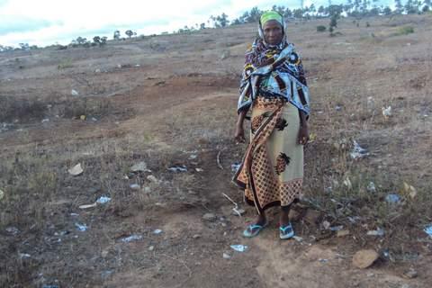 Borrower image