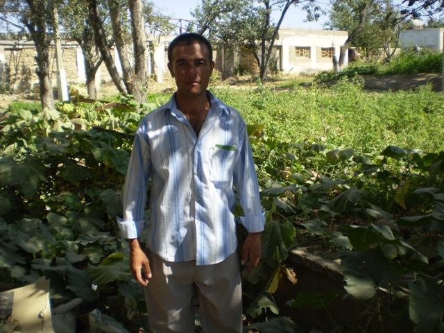 Borrower image