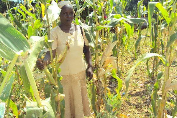Borrower image