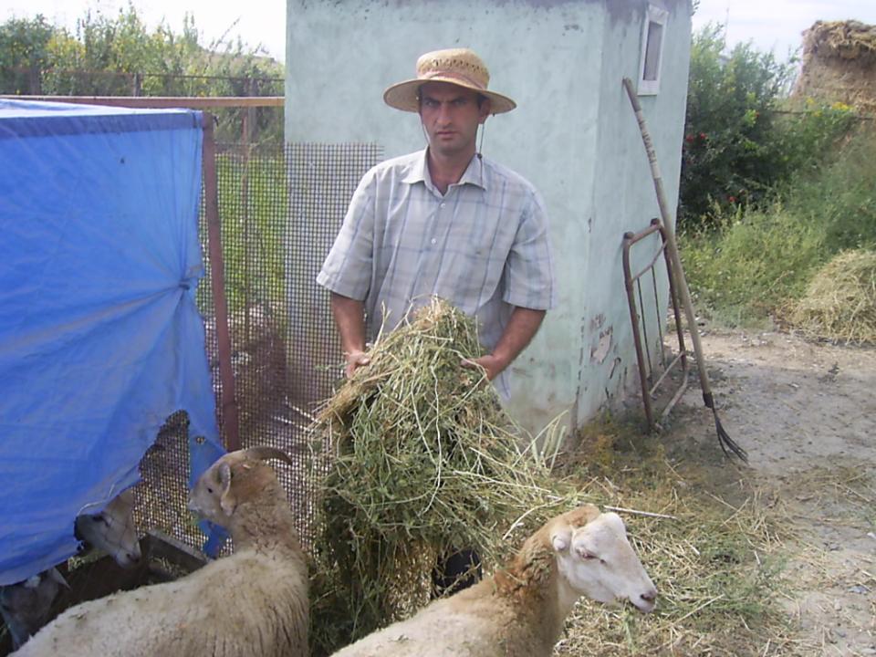 Borrower image