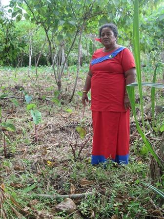 Borrower image