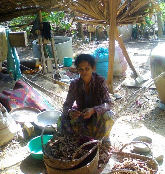 Borrower image