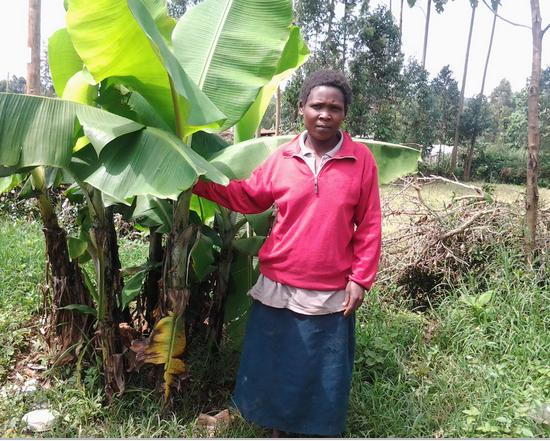 Borrower image