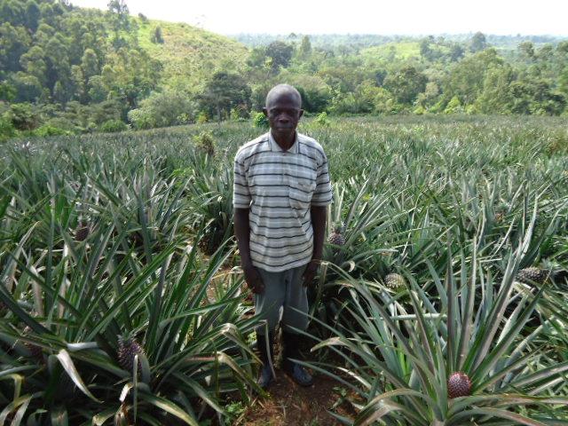 Borrower image