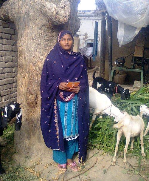 Borrower image