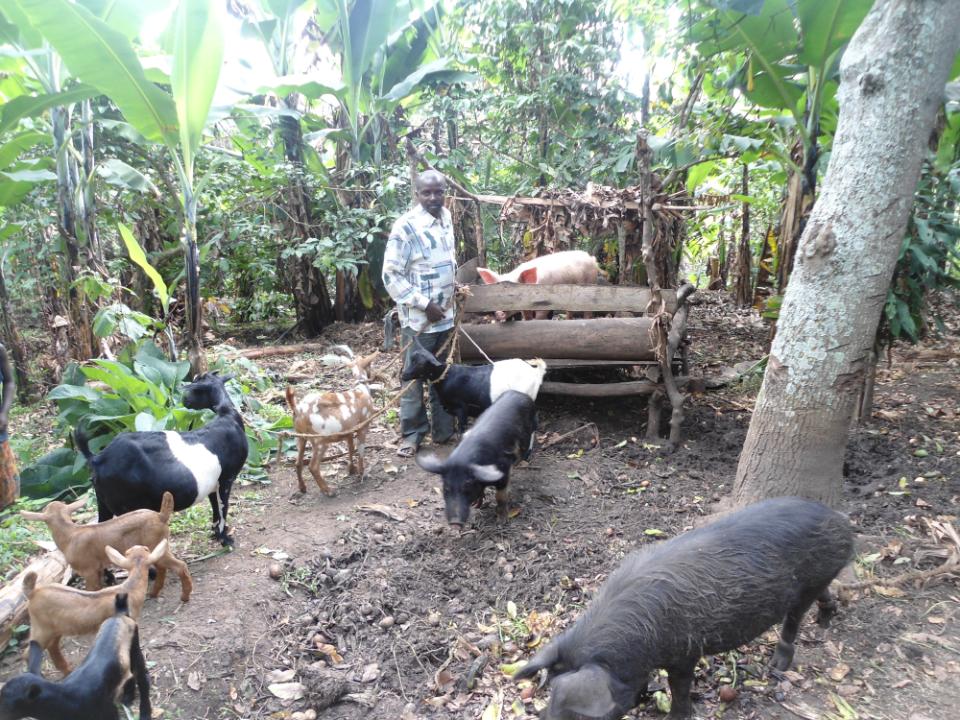 Borrower image