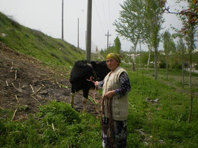 Borrower image