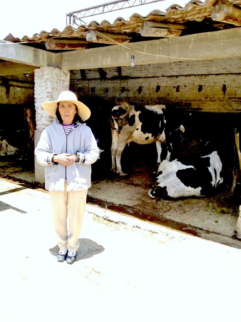 Borrower image