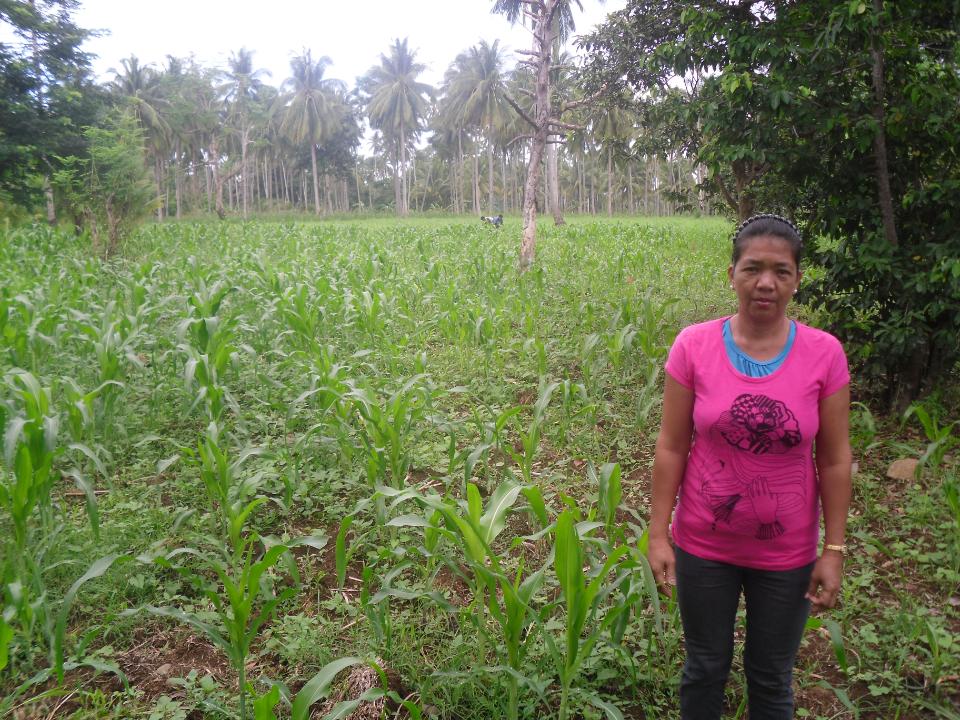 Borrower image