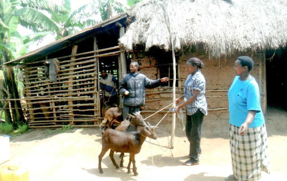 Borrower image
