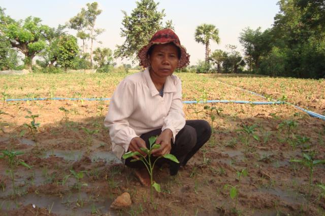 Borrower image