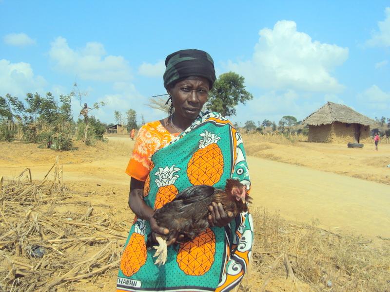 Borrower image