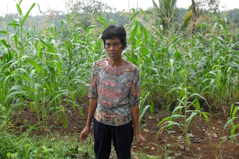 Borrower image