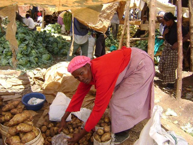 Borrower image