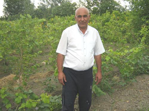 Borrower image