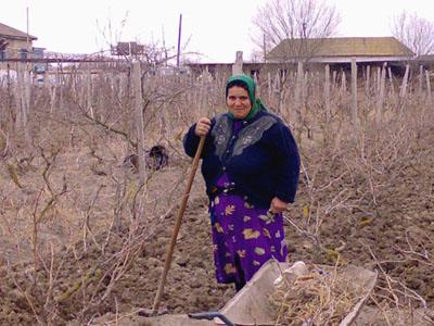 Borrower image