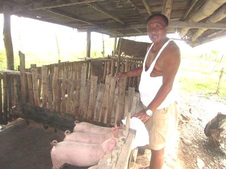 Borrower image