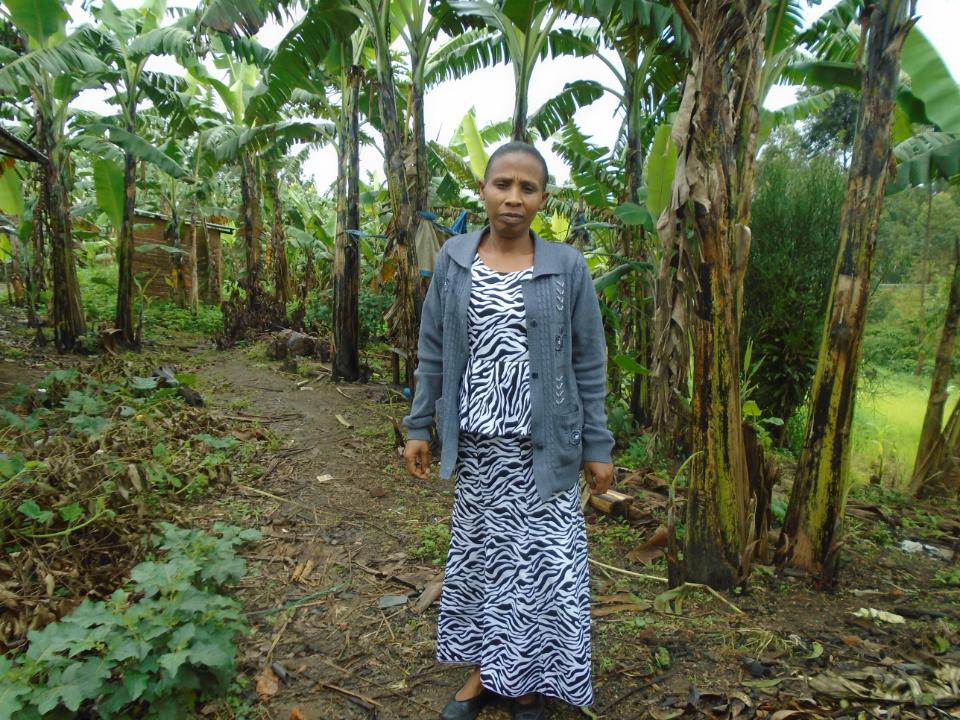 Borrower image