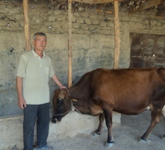 Borrower image