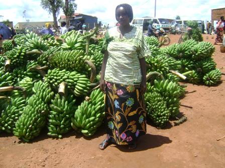 Borrower image