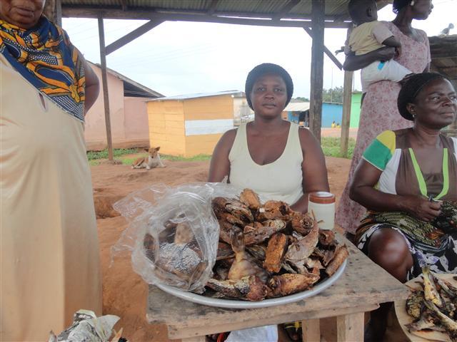 Borrower image