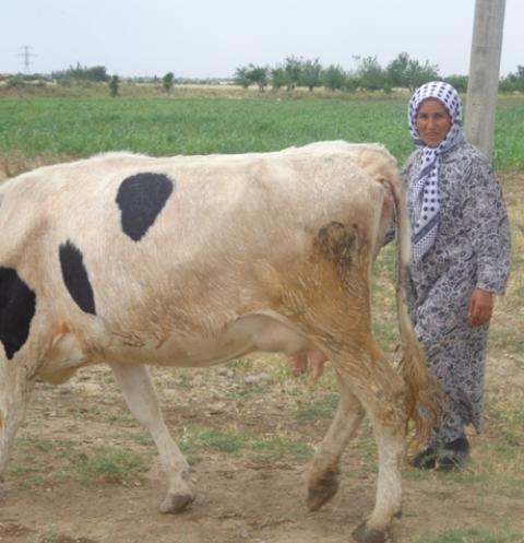 Borrower image