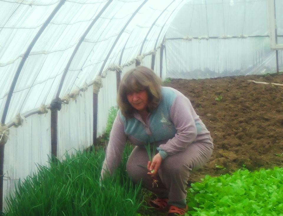 Borrower image
